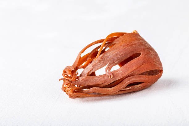 istockphoto-1213598362-612x612-1.jpg