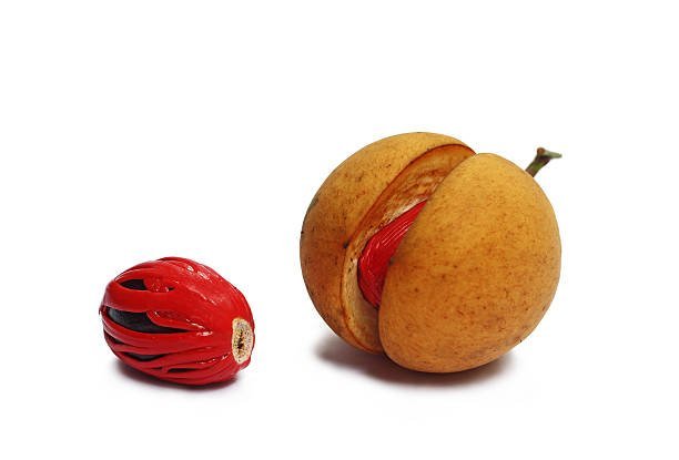 istockphoto-468725832-612x612-1.jpg