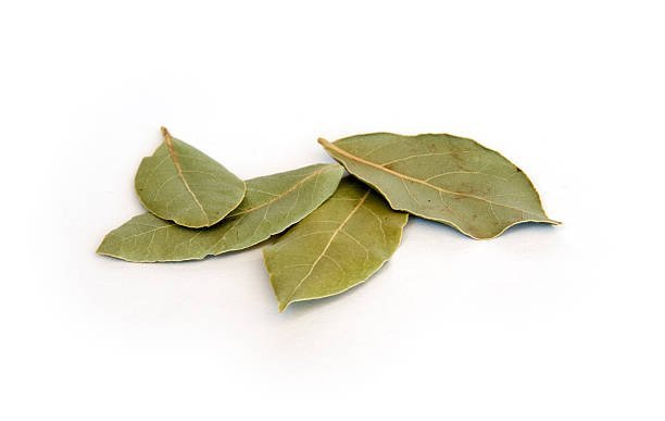 istockphoto-97997043-612x612-1.jpg